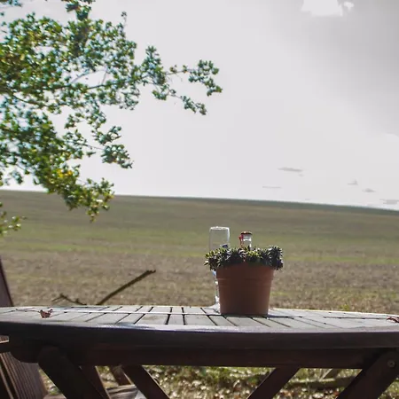 Hébergement de vacances Zur Vogelschar *